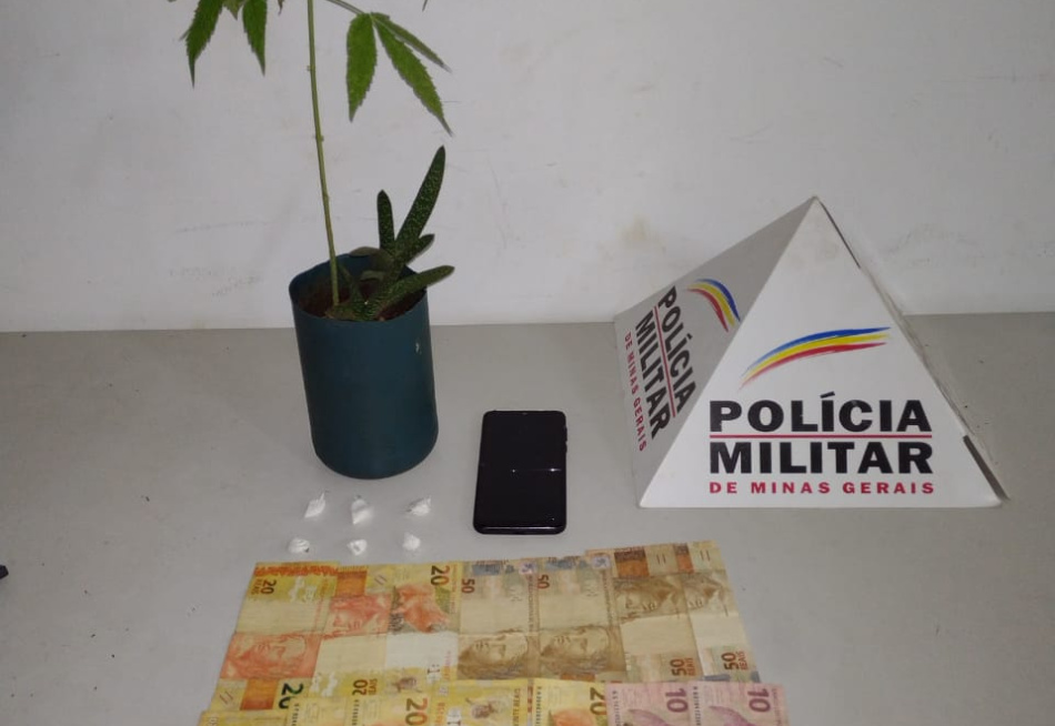 Polícia apreende seis papelotes de cocaína e um pé de maconha em Nova Serrana