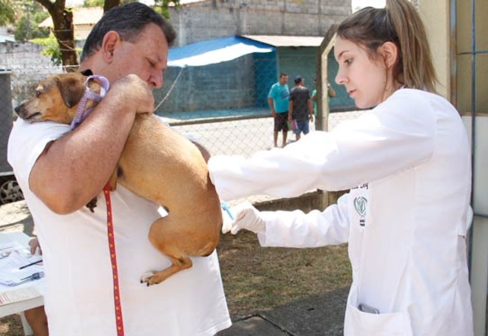 Começou neste sábado em Pará de Minas a campanha de vacinação antirrábica para cães e gatos