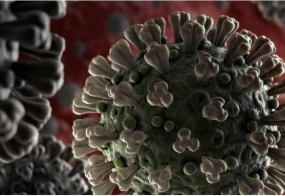 Brasil registrou 18.276 casos e 181 mortes pela Covid-19 nas últimas 24 horas