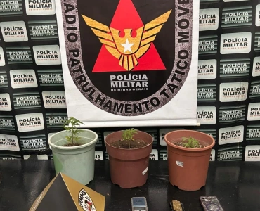 Jovem é preso por tráfico de drogas em Pará de Minas
