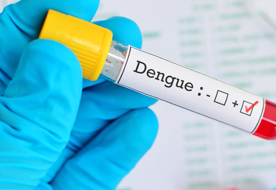 Boletim divulgado nesta semana pela Secretaria de Estado de Saúde indicou aumento nos casos de dengue em Minas Gerais