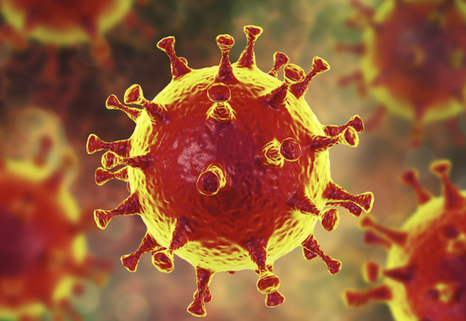 Com 866 novos casos confirmados da Covid-19 nas últimas 24 horas, Minas Gerais registrou neste domingo 2.158.771 exames positivos da doença