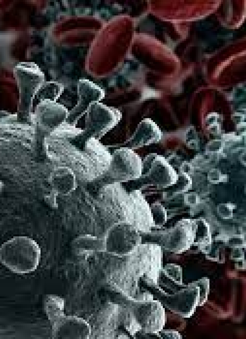 Com 1.542 novos casos confirmados da Covid-19 nas últimas 24 horas, Minas Gerais já registrou 2.187.863 exames positivos da doença