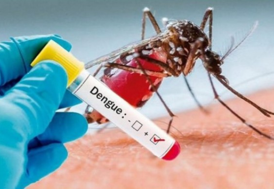 Minas Gerais registrou 24.486 casos prováveis de dengue