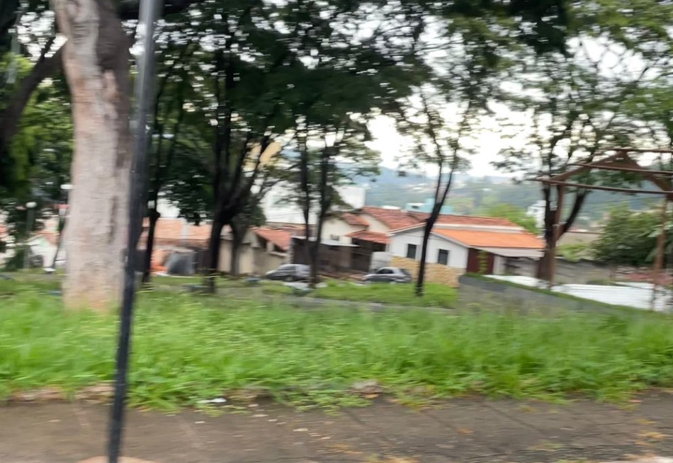 Matagal nas praças preocupa, buscamos a resposta.