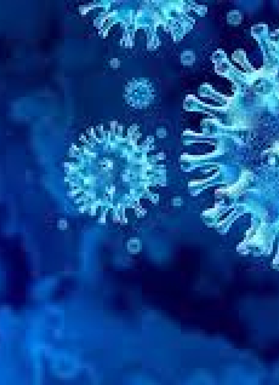 Minas Gerais registrou nas últimas 24 horas 23 mortes causadas pela Covid-19