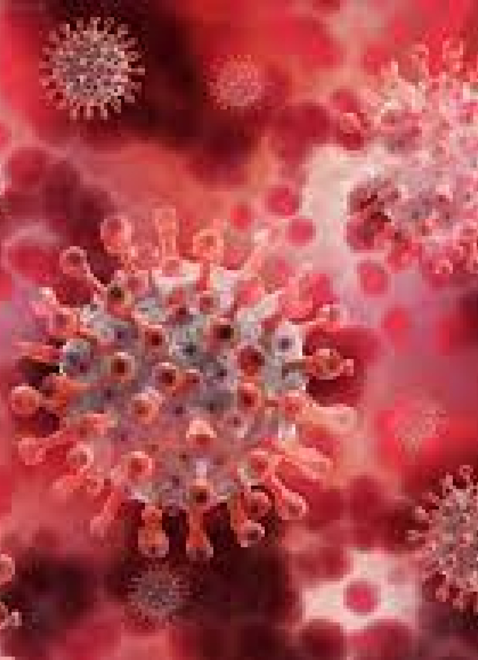 Minas superou 11 mil novos casos confirmados da Covid-19 nas últimas 24 horas