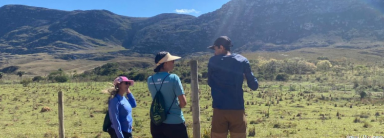 Avanço tecnológico e suporte ao produtor elevam número de imóveis regularizados no Cadastro Ambiental Rural em Minas Gerais: de 281 para 28 mil