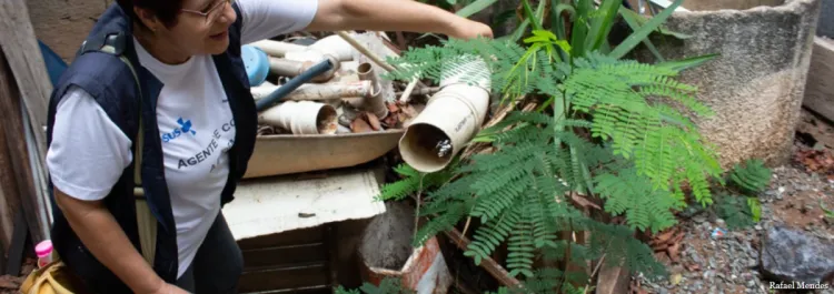 Governo de Minas Gerais mobiliza todo o estado para o Dia D de combate ao mosquito Aedes aegypti