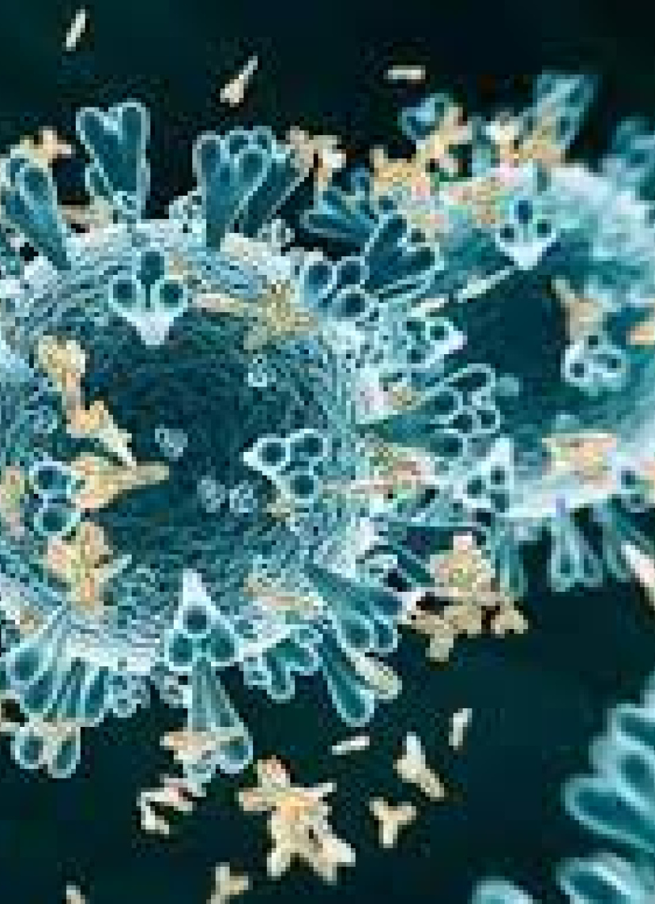 Minas Gerais registrou 168 novos casos confirmados e 11 mortes pela Covid-19 nas últimas 24 horas