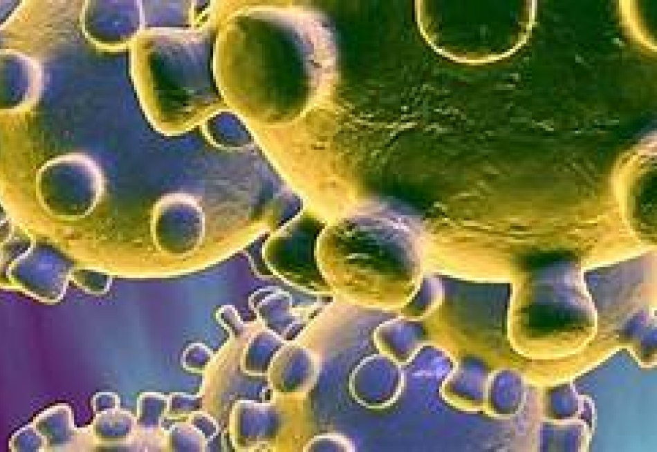 Pará de Minas registrou nesta quinta-feira duas novas mortes pela Covid-19