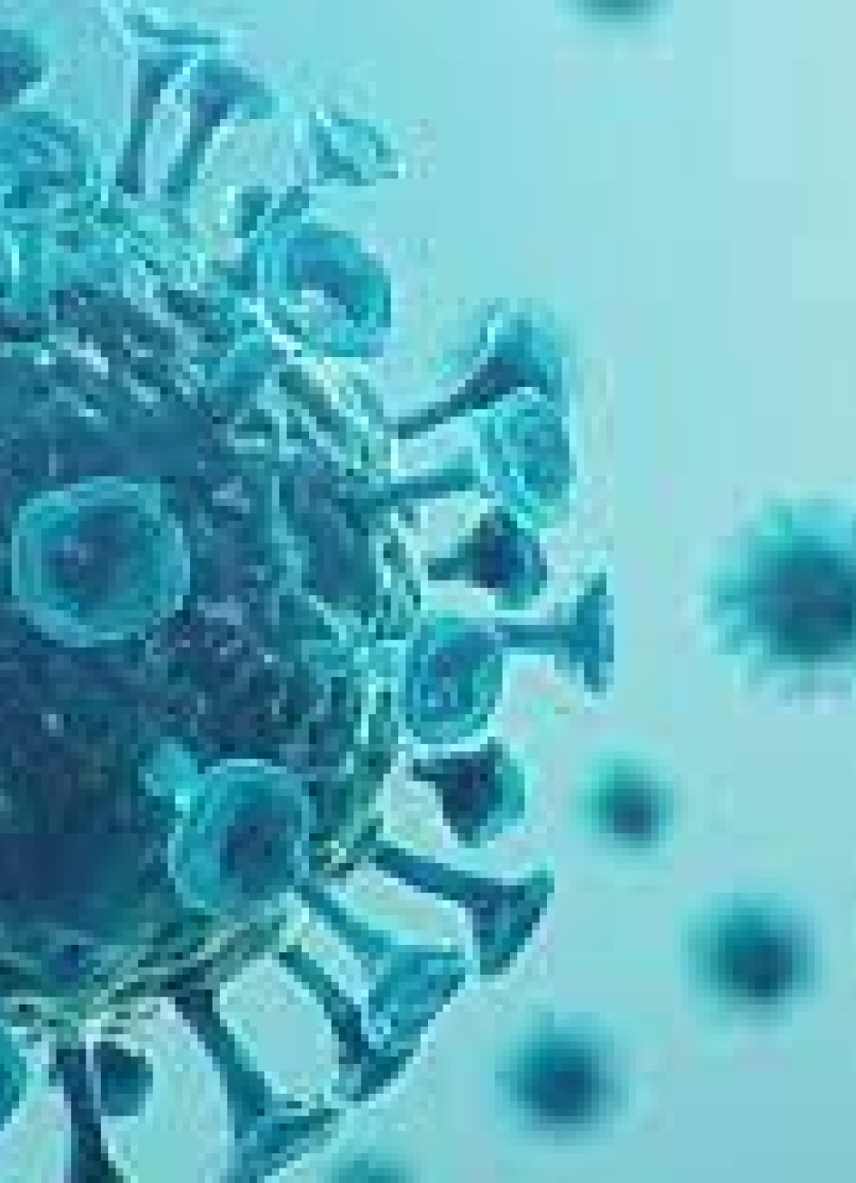 Minas Gerais registrou quase 4 mil novos casos confirmados da Covid-19 apenas nas últimas 24 horas