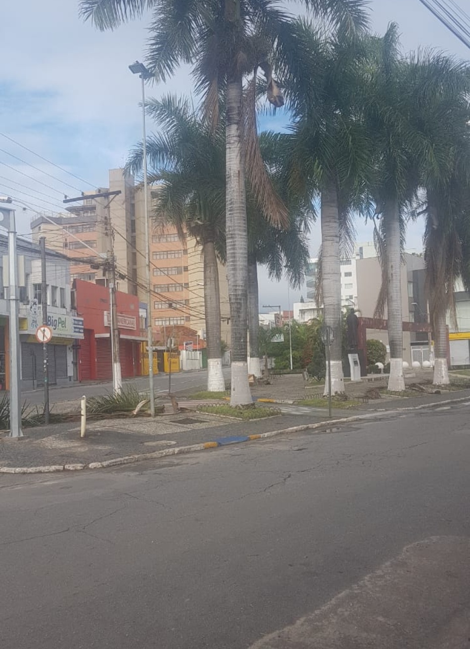 Tempestade causou transtornos para a população de Pará de Minas e muitas árvores foram derrubadas