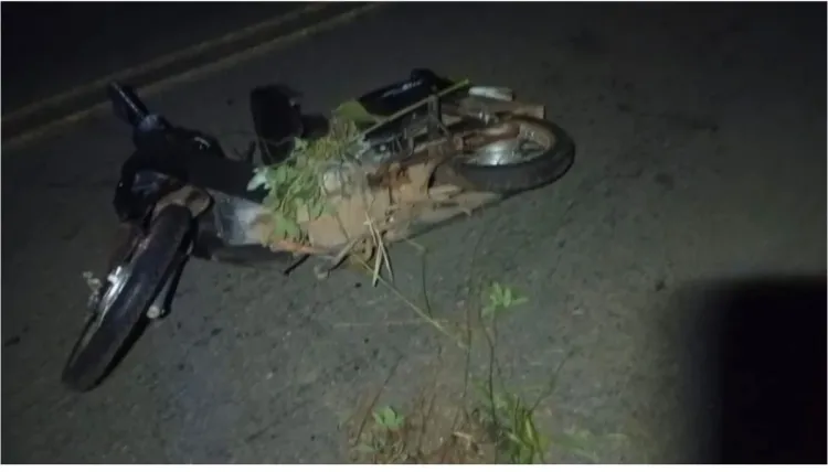 Motociclista perde a vida em grave acidente na BR 352