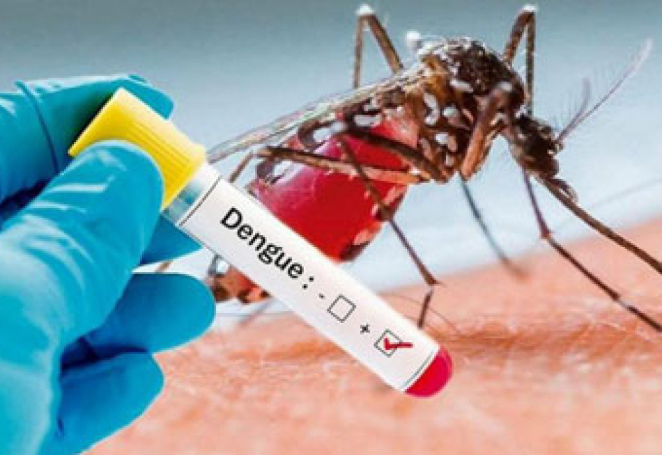 Boletim sobre doenças provocadas pelo Aedes aegypti no estado coloca Pará de Minas em segundo lugar nos casos suspeitos de dengue
