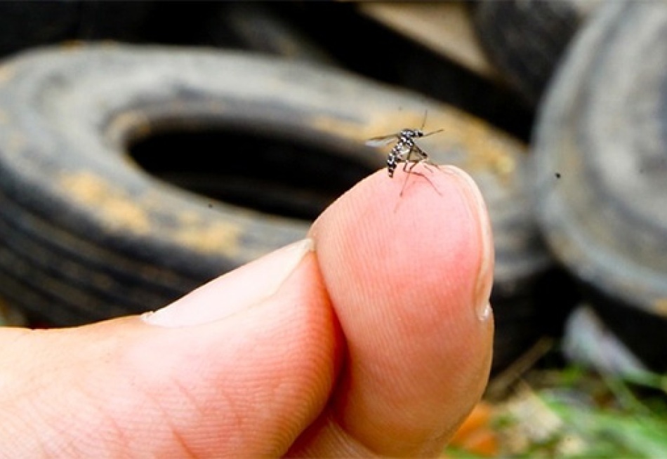 Minas Gerais registrou  21.459 casos prováveis de dengue até o final do mês de agosto