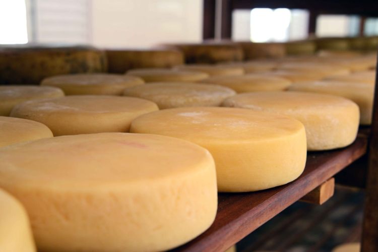 Queijoteca busca conservar características e sabores dos queijos artesanais de Minas Gerais