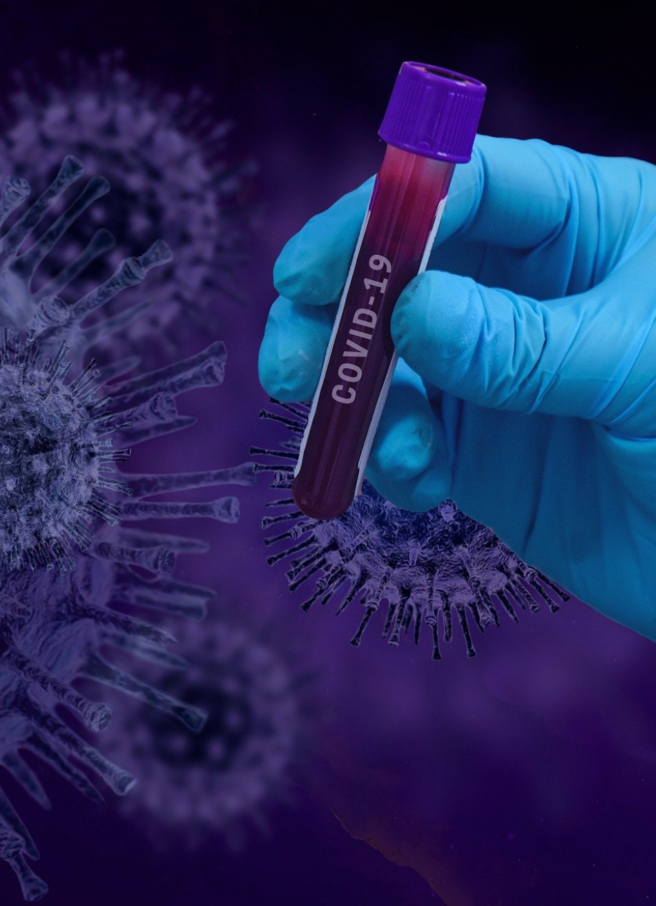 Minas Gerais atingiu a marca de 49.500 mortes pela Covid-19