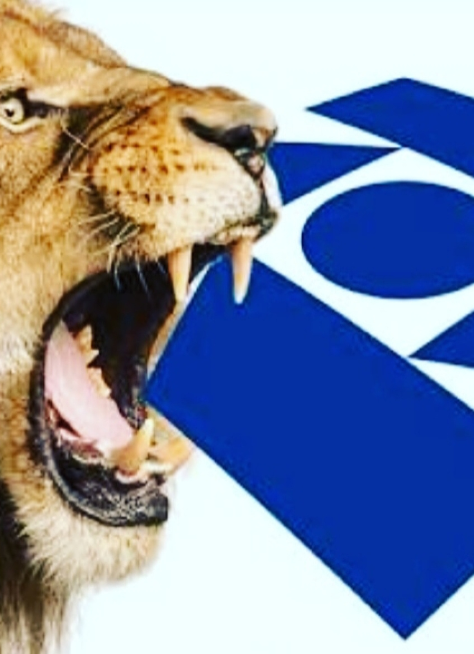 Termina nesta segunda-feira o prazo para a entrega da declaração do Imposto de Renda