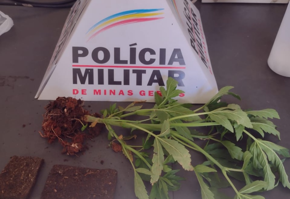 Após denúncia anônima, polícia prende um homem acusado de envolvimento com o tráfico de drogas em Bom Despacho