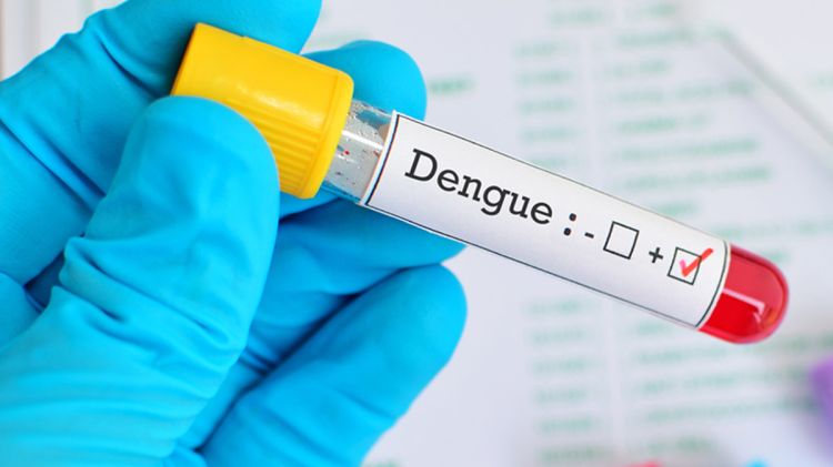 Com 3.636 casos suspeitos de dengue, Pará de Minas se destacou no balanço da SES-MG sobre números da doença em 2020