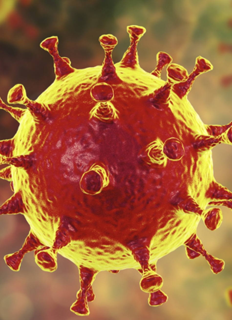 Minas Gerais registrou 1.256 novos casos confirmados e 75 novos óbitos pela Covid-19 nas últimas 24 horas