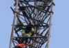 CORPO DE BOMBEIROS MILITAR REALIZA RESGATE DE HOMEM EM TORRE DE TELEFONIA EM PAPAGAIOS