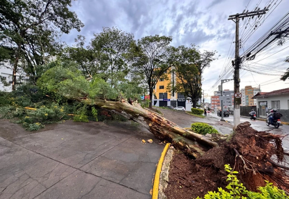 Balanço sobre o temporal que atingiu Pará de Minas