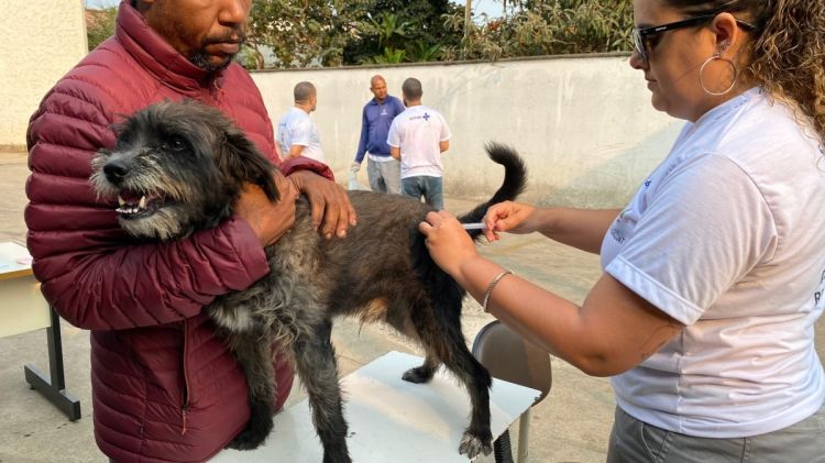 Proteção essencial: campanha de vacinação antirrábica em cães e gatos tem início em Minas Gerais