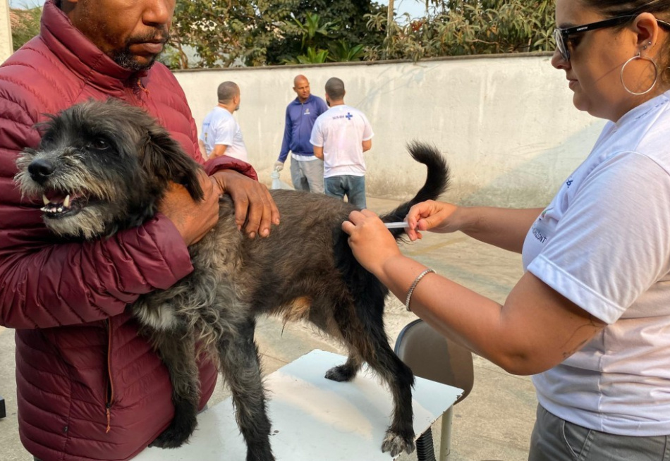 Proteção essencial: campanha de vacinação antirrábica em cães e gatos tem início em Minas Gerais