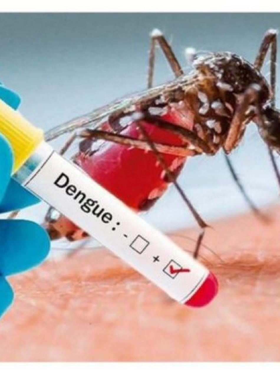 Pará de Minas realiza nesta sexta-feira o Dia D de combate à Dengue