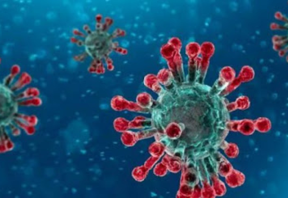 Número de casos confirmados da Covid-19 em Minas Gerais chegou a 338.107 nesta terça-feira