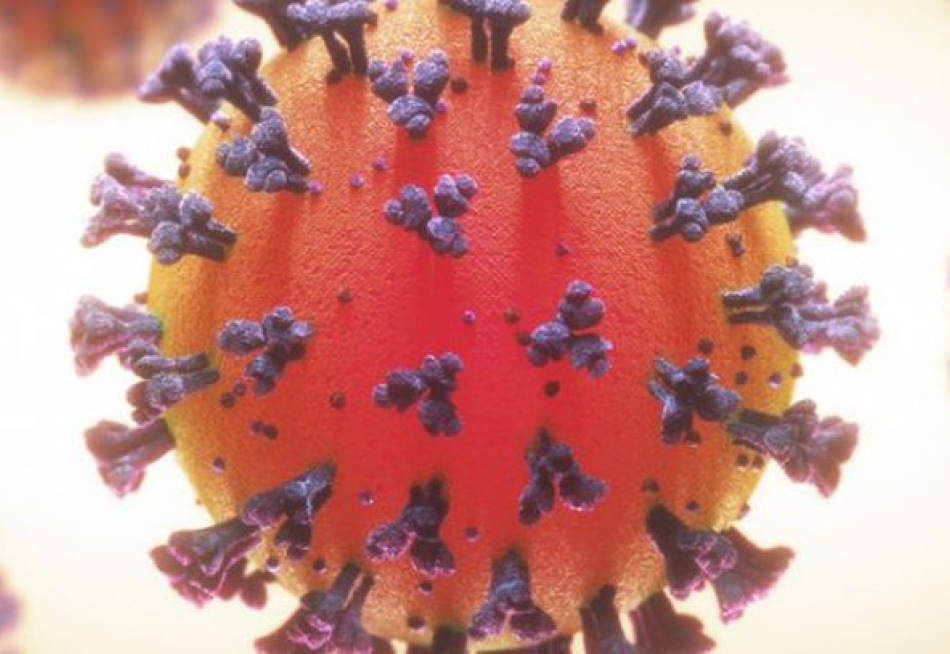 Minas Gerais superou nesta quarta-feira a marca de 45 mil mortes pela Covid-19