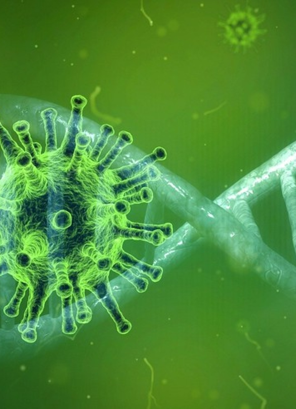 Minas Gerais registrou 6.428 novos casos confirmados da Covid-19 e 218 mortes causadas pela doença no estado nas últimas 24 horas