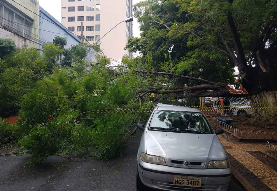 Carros são atingidos por galhos que caíram na manhã desta quarta-feira no centro de Pará de Minas