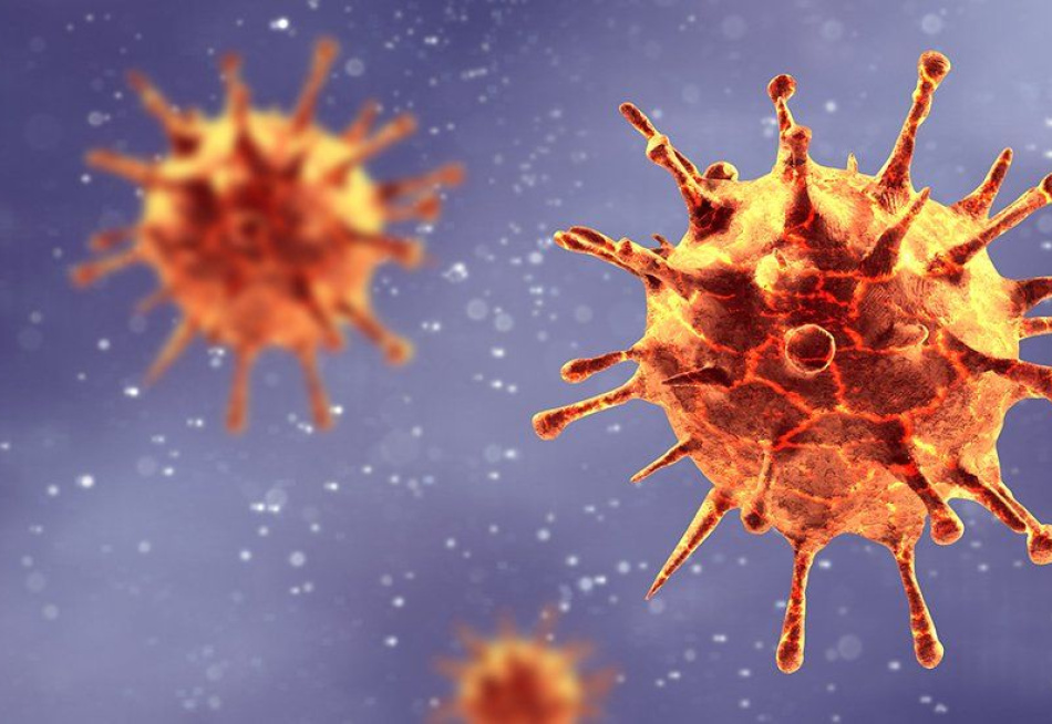 Minas Gerais registrou 213 mortes nas últimas 24 horas pela Covid-19