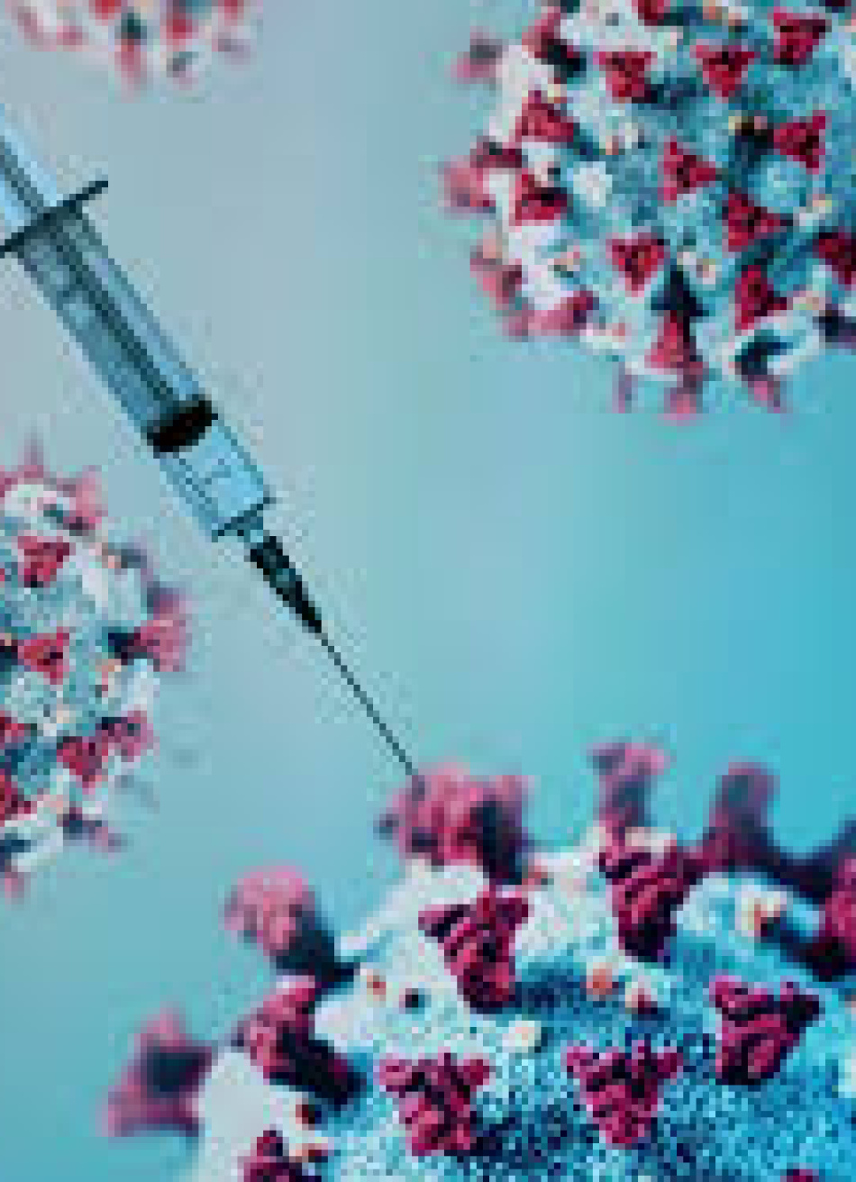 Brasil supera a marca de 2 milhões de pessoas vacinadas contra a Covid-19