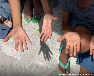 Trabalho infantil no Brasil apresenta queda de 21,4% em oito anos, aponta IBGE