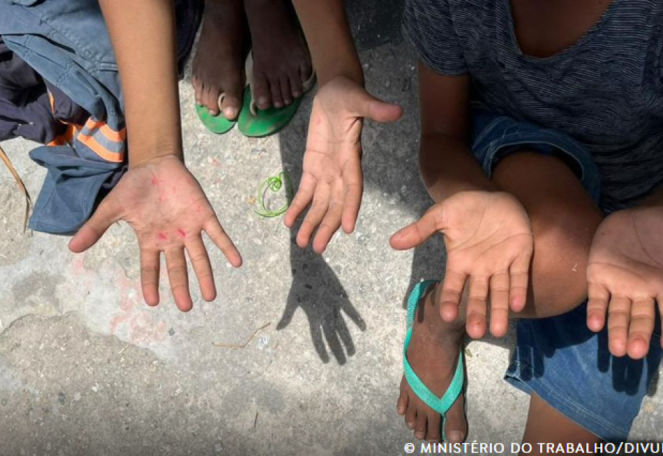 Trabalho infantil no Brasil apresenta queda de 21,4% em oito anos, aponta IBGE