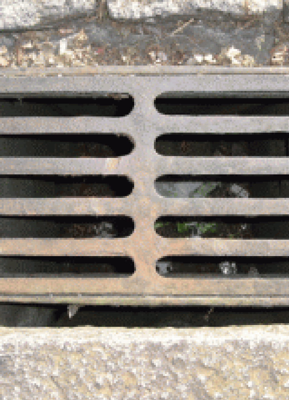 Águas de Pará de Minas lançou campanha de conscientização "Lixo não é esgoto"