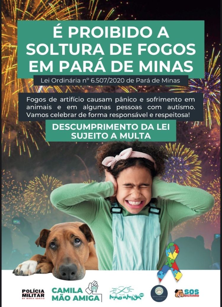 Proibição de Fogos de Artifício em Pará de Minas Busca Garantir Bem-Estar de Animais e Pessoas com Autismo