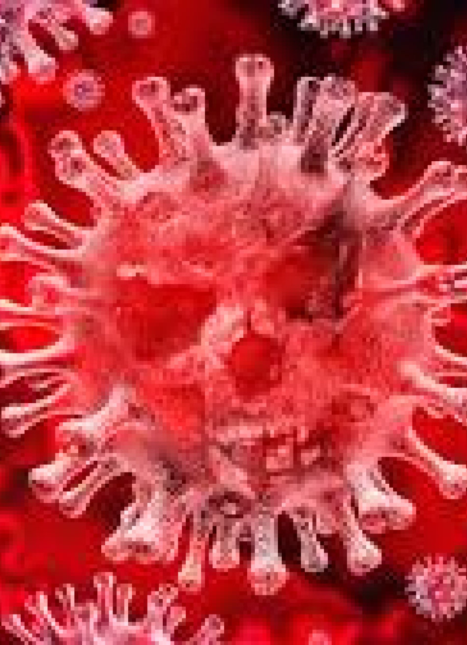 Minas Gerais superou a marca de 500 mil casos confirmados da Covid-19