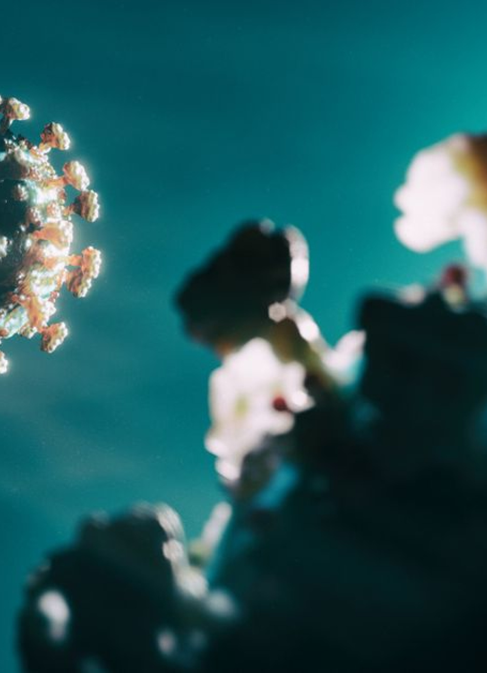 Secretaria de Estado de Saúde de Minas Gerais ainda não se manifestou sobre os casos da dupla infecção por Covid-19 e Influenza no Sul do estado