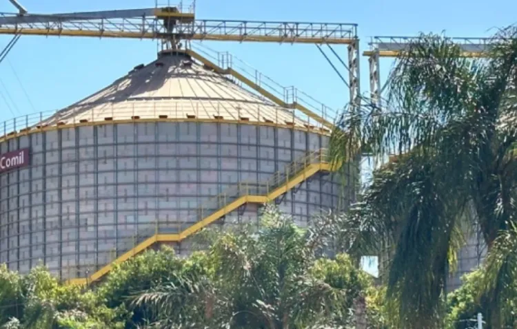 Produtores rurais terão nova linha de crédito do BDMG para investir em práticas sustentáveis e ampliar o acesso a novos mercados