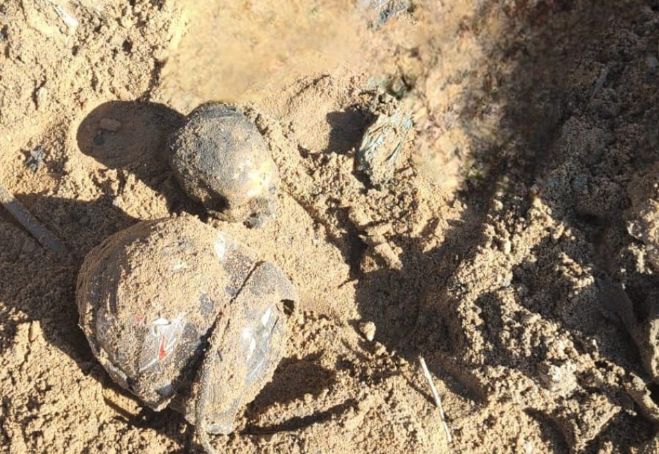 Ossada Humana é Descoberta Durante Serviço de Limpeza de Córrego em Nova Serrana