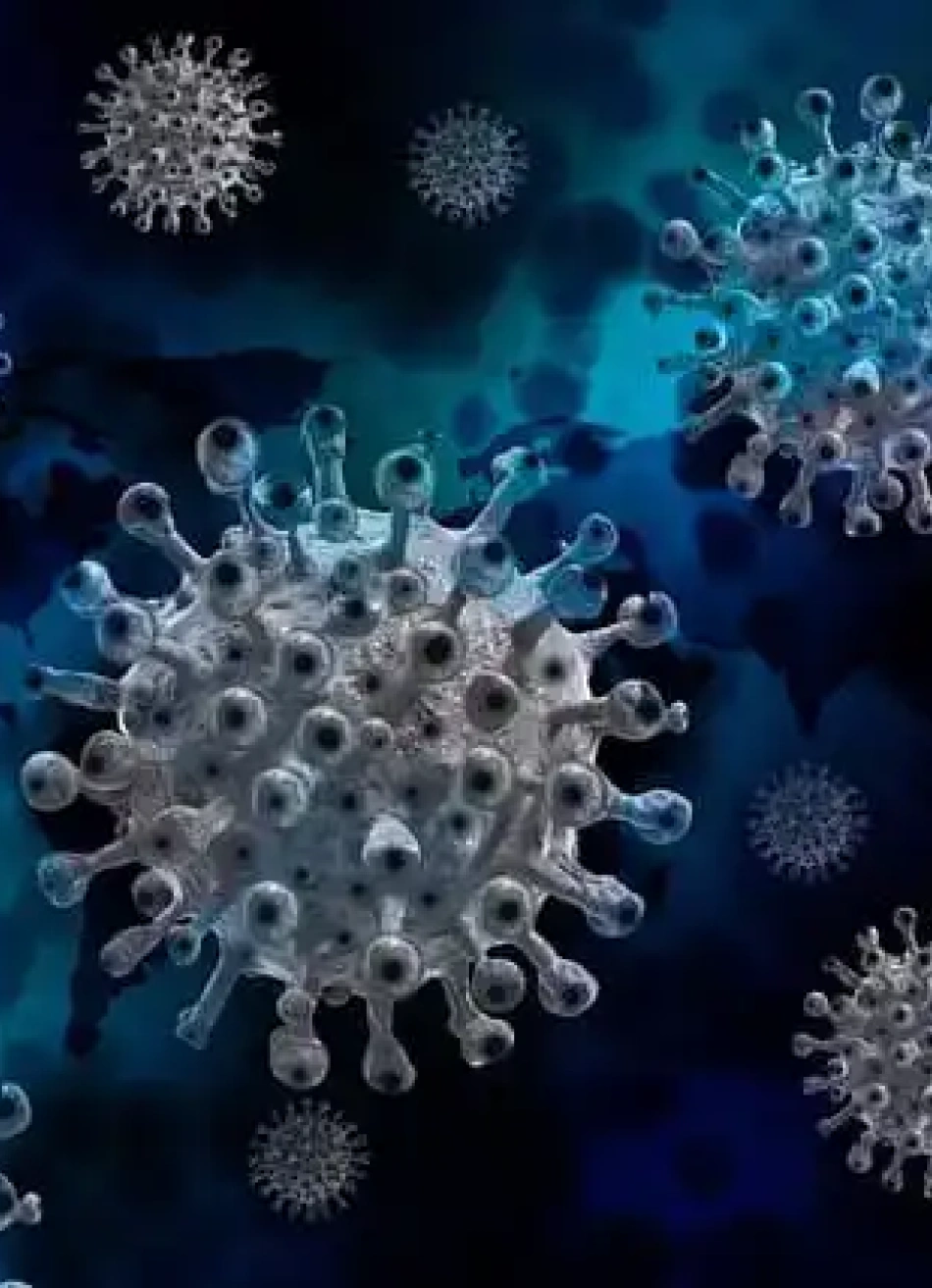 Minas Gerais registrou 8.675 novos casos confirmados e 279 mortes pela Covid-19 nas últimas 24 horas