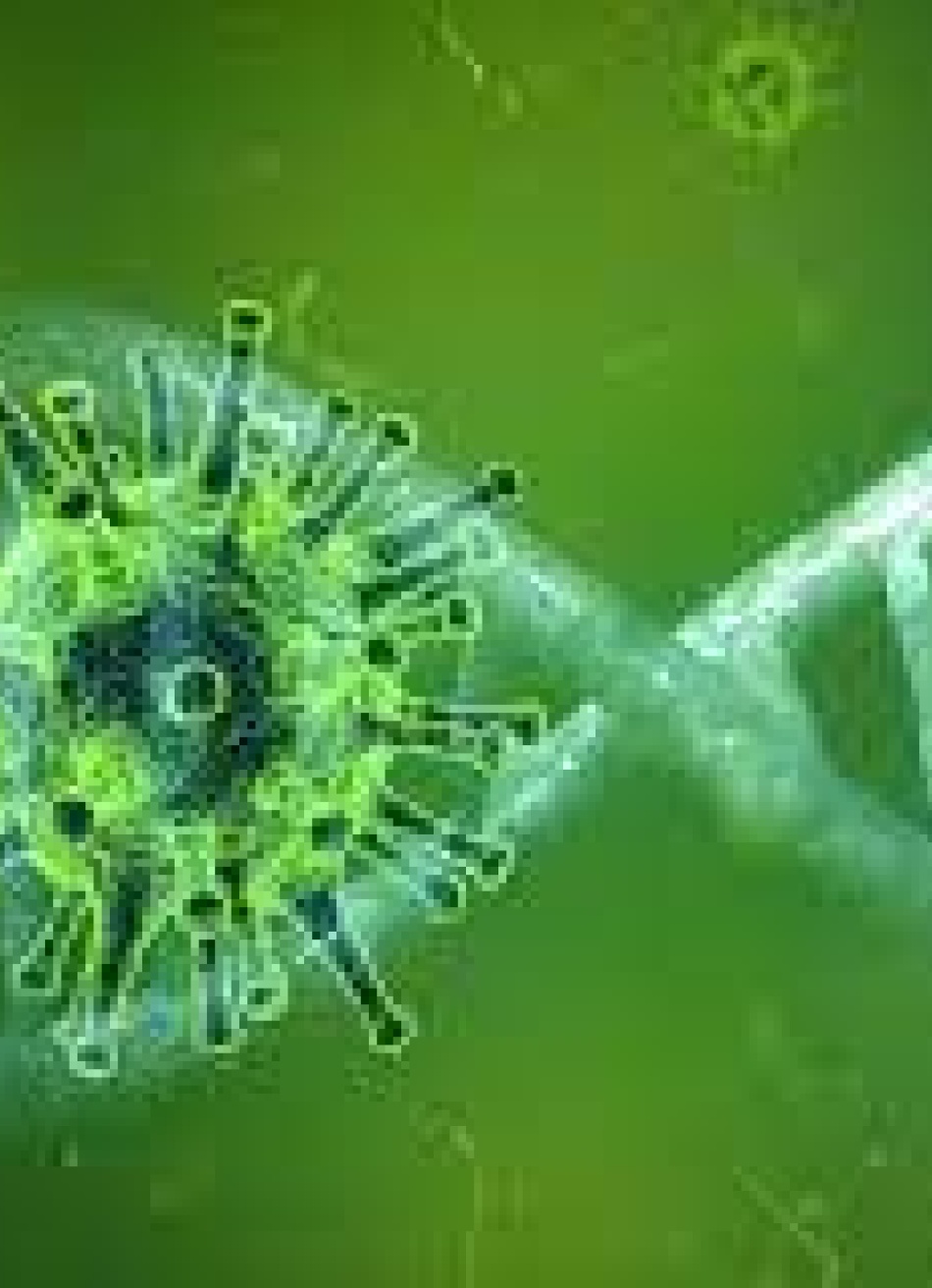 Minas Gerais registrou 8.916 novos casos confirmados e 236 mortes pela Covid-19 nas últimas 24 horas