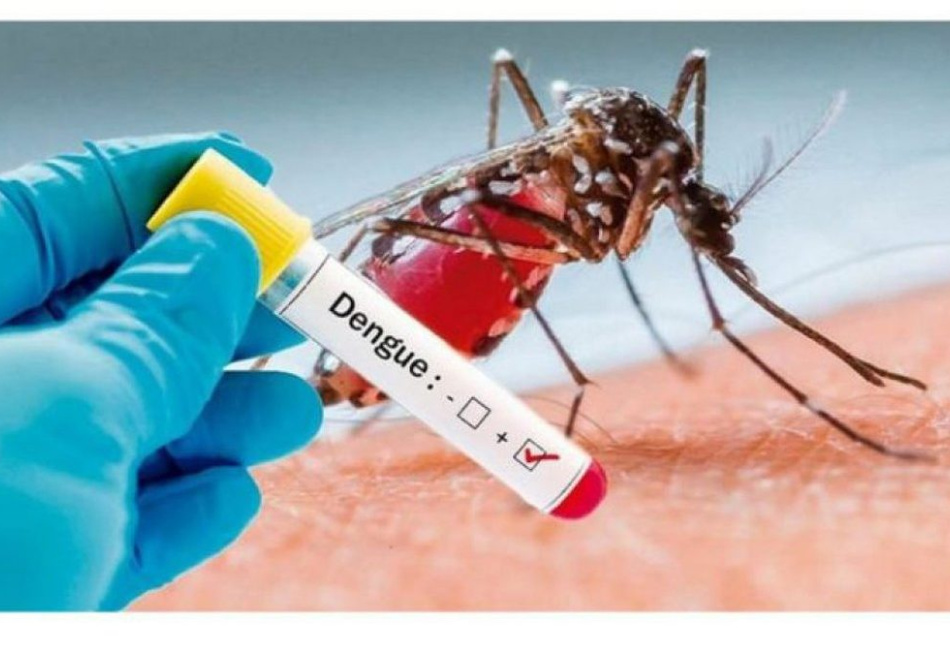 Com três mortes suspeitas em Pará de Minas, casos de dengue diminuem no Centro-Oeste