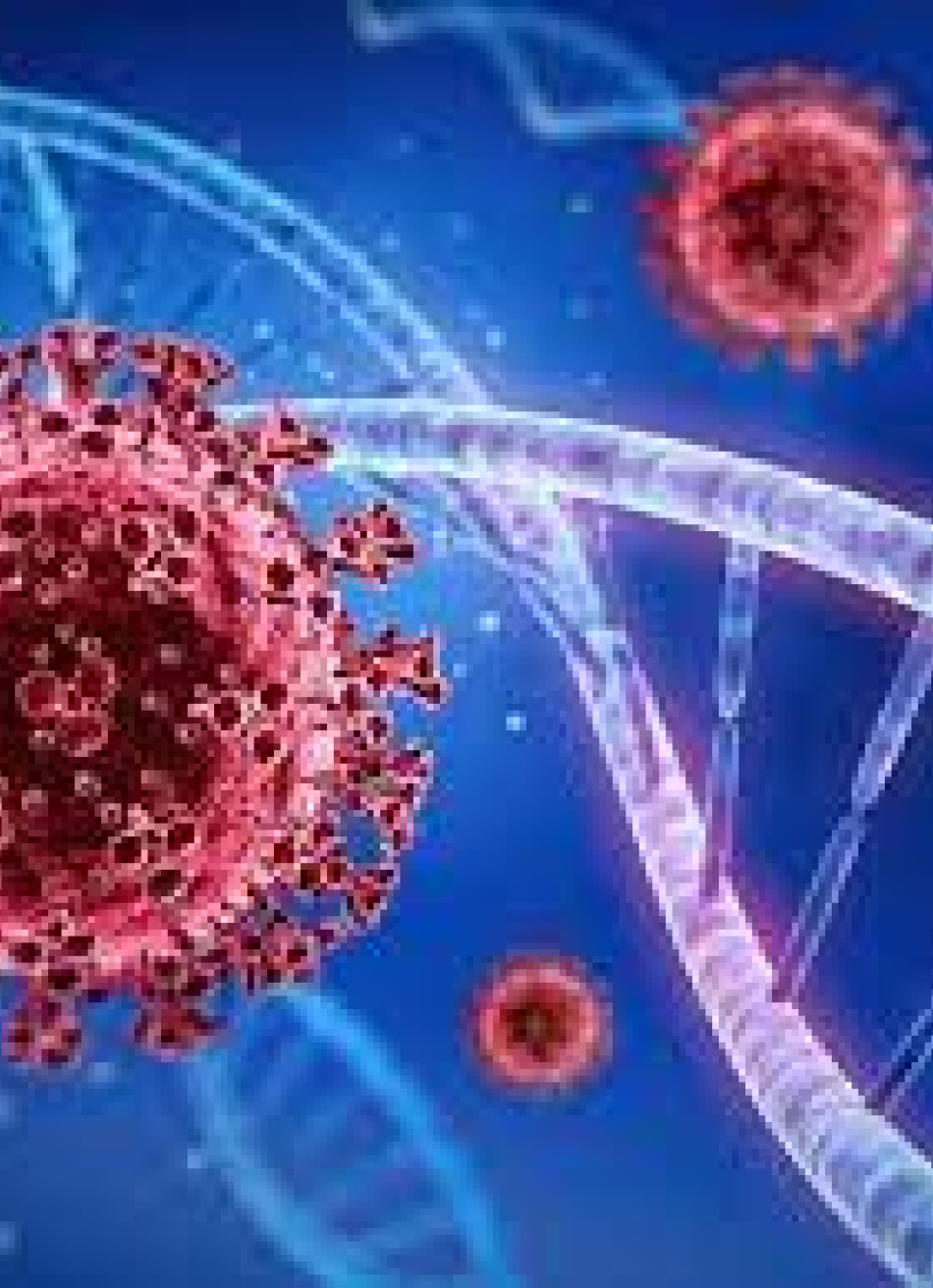 Minas Gerais registrou 1.351.739 casos confirmados da Covid-19