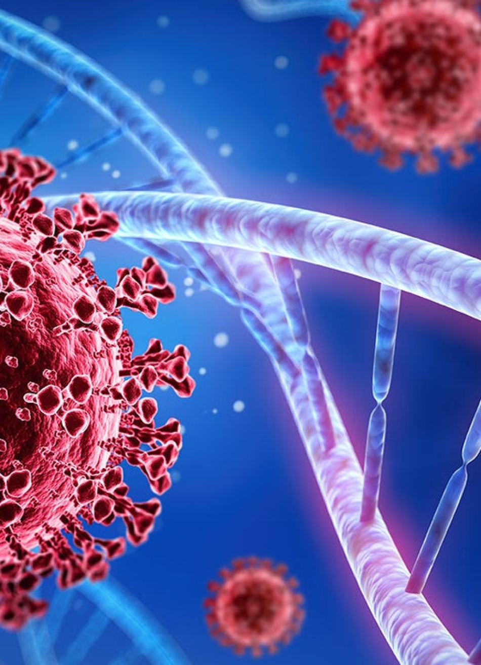 Minas Gerais registrou 2.152.853 casos confirmados e 54.840 mortes pela Covid-19